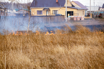 Fototapeta na wymiar Burning dry grass in field poses serious danger, fire spreads quickly with strong winds