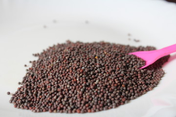 Mustard seeds are a good source of dietary fibres that improve digestion in the body