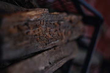 Obraz na płótnie Canvas close up of an old wooden log