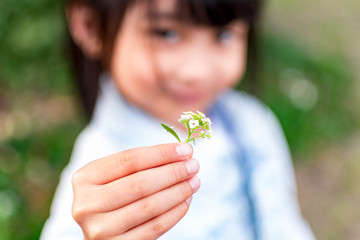 Child's hand holding a small flower. Sharing and giving concept. Love for parents and mothersday concept. Protect kids concept