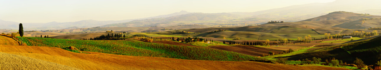 Fototapeta na wymiar Wavy fields in Tuscany