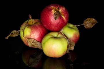 Group of five whole fresh garden apple isolated on black glass