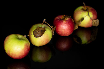 Group of four whole fresh garden apple isolated on black glass