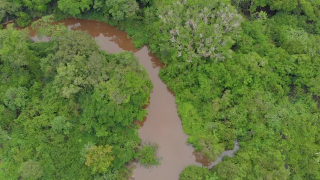 Amazon jungle, tilt over the river, panoramic view of the amazon forest, rainforest.