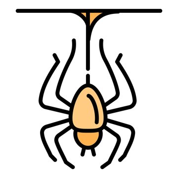 Spider icon. Outline spider vector icon for web design isolated on white background