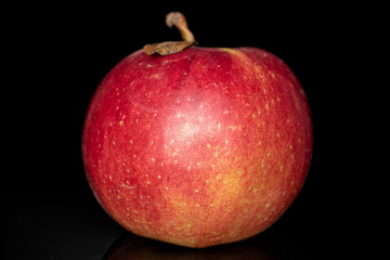 One whole fresh garden apple closeup isolated on black glass