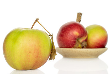 Group of three whole fresh garden apple on ceramic plate isolated on white