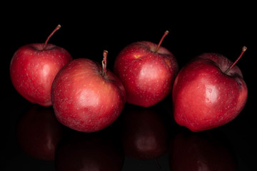 Group of four whole red delicious apple isolated on black glass