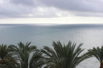 Madeira Island, Portugal