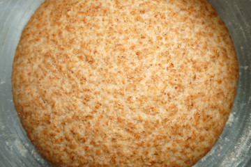 Dough made by wholemeal sourdough
