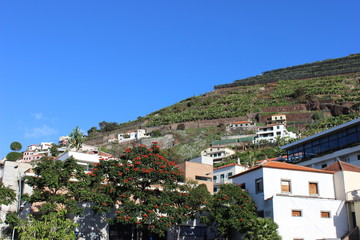 Obraz premium Madeira Island, Portugal