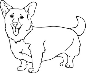 Black and White Corgi Dog Line Art Illustration with Transparent Background Vector Cartoon Illustration