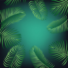 Fototapeta na wymiar Tropic leaves background