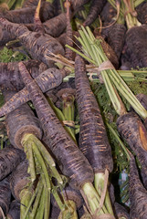 carrot dwells in Cuevas Bajas, Malaga province, Andalusia. Spain