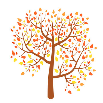 Cartoon autumn tree in flat style isolated on white background. Fall plant. Vector illustration.  