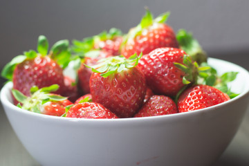 Photo session of fresh organic strawberries.