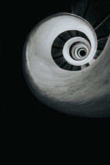 Black and white image of spiral stairs looking down from the top, creating an interesting perspective. 