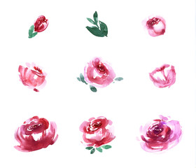 Marsala watercolor roses collection. Sketchy Rose flowers buds and blossom and green foliage isolated on white. Illustration