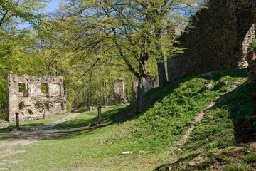 Naklejka premium Ruins of the stone mediaval castle, walls