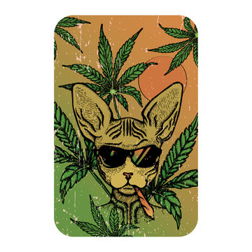 Vector illustration with cat character and marijuana 