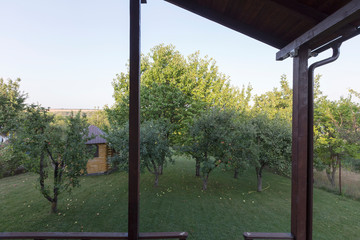 Fototapeta premium The lawn with pear trees and apple trees.