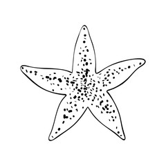 Obraz premium Starfish in a simple style, isolated vector on white background. Single element with a black outline and dots texture, stylized as a hand ink drawing. Can be used as icon and for natural design.
