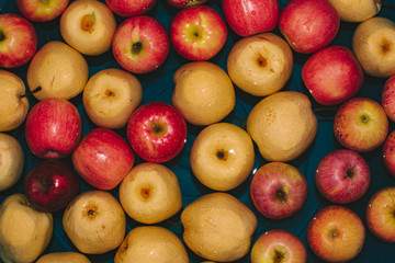 Chinese pear and apples background.