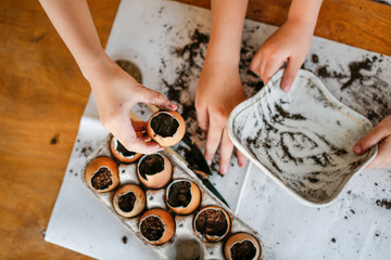 Fototapeta na wymiar Children sow seeds in pots of eggshells, garden
