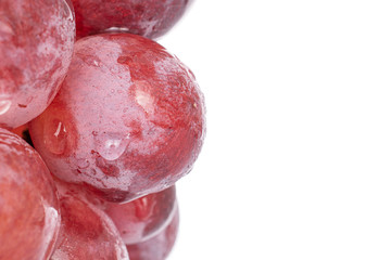 Lot of whole fresh red globe grape closeup isolated on white
