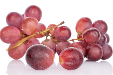 Lot of whole fresh red globe grape two berries in front isolated on white