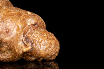 One whole baked wholegrain croissant closeup isolated on black glass