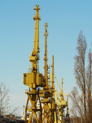 Cranes 3