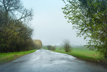 Fototapeta premium Rural asphalt road during the rain between green trees and grass.