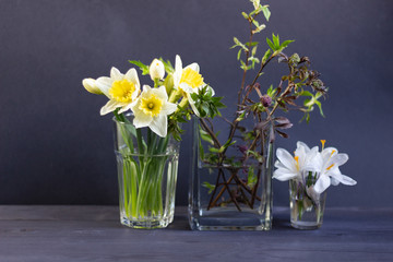 Flowers and tree branches with fresh green leaves in vase on black wooden background