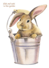 Cute rabbit. Hide and seek in the garden.Watercolor illustration on a white background.Isolated. Rabbit in a bucket.