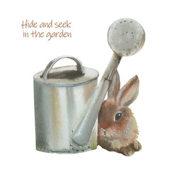 Cute rabbit. Hide and seek in the garden.Watercolor illustration on a white background.Isolated. Rabbit behind a watering can.