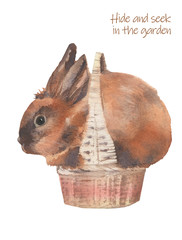 Cute rabbit. Hide and seek in the garden. Watercolor illustration on a white background. Rabbit in a basket.