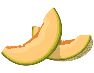 Slices of melon. Juicy fruit in cartoon style.