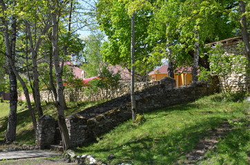 Fototapeta premium house in the park