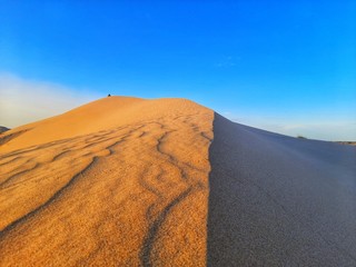 sand dune in desert of Algeria