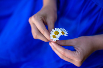 woman in blue dress holds daisies in her hands