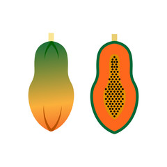 Illustration of Papaya icon vector