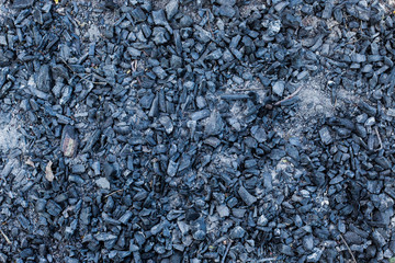 Background burnt tree sunny weather