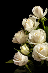 White Rose. Bouquet in contrasting color