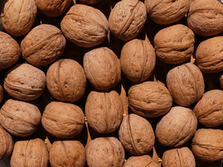Walnut or Juglans regia or Persian walnutis a large tree growing in Eurasia. Fruits are used in food industry and medicine!