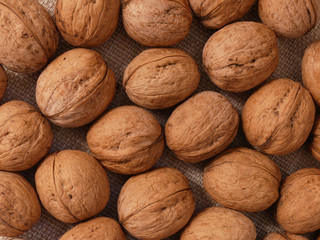 Walnut or Juglans regia or Persian walnutis a large tree growing in Eurasia. Fruits are used in food industry and medicine!