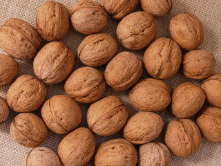 Walnut or Juglans regia or Persian walnutis a large tree growing in Eurasia. Fruits are used in food industry and medicine!
