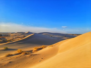 Obraz na płótnie Canvas sand dune in desert of Algeria