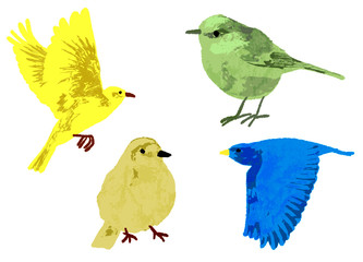 小鳥のベクターセット