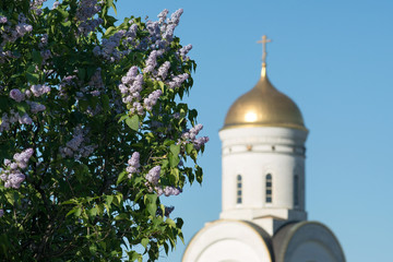 Springtime in Moscow. Blooming lilac against Church of The George The Victorious (Georgievskaya) in...